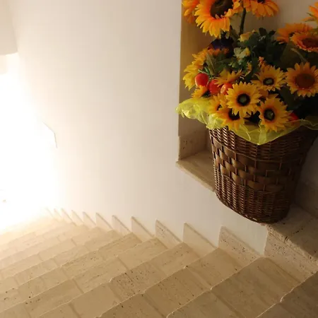 Terra Lenu Giungano