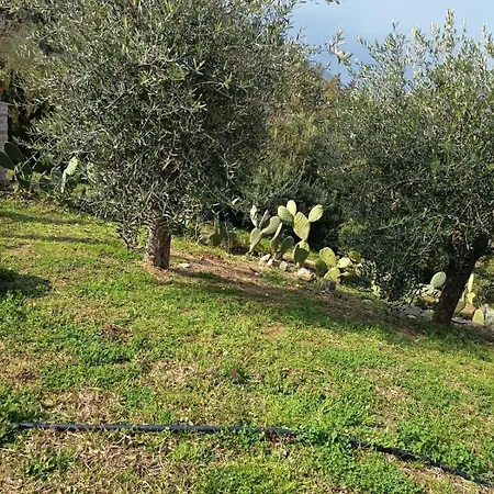 Holiday home Terra Lenu *