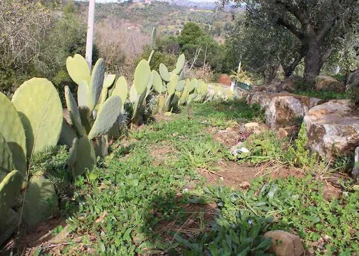 Terra Lenu Casa de Férias *