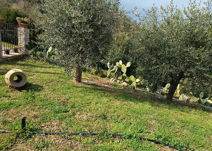 Casa de Férias Terra Lenu *